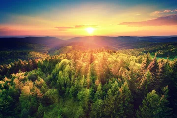Foto op Plexiglas Luchtfoto Malerischer Sonnenuntergang über dem Wald