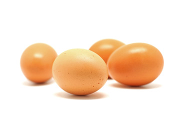 Egg