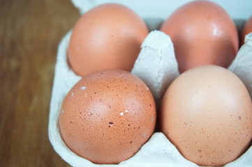 Fresh chicken eggs in carton package