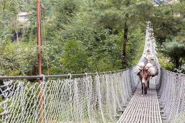 Horses carrying load crossing suspension bridge.
