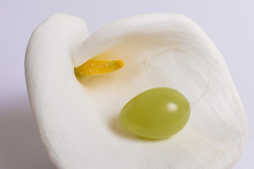 Jade egg for development of intimate muscles lie on white flower