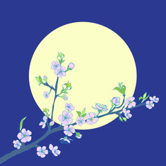 Flowering cherry branch on background of moon