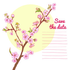 Flowering cherry branch on background of sun