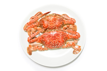 Steamed crabs on white plate