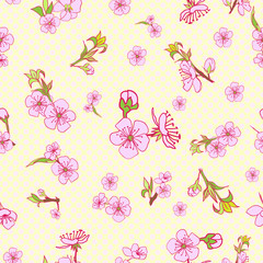 Flowering hand drown cherry blossom seamless. Vintage background