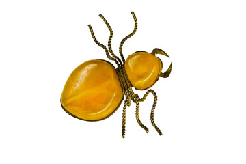 amber brooch in the form of a spider on a white background