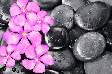 Stones and flowers.