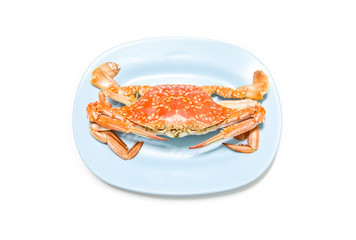 Boiled crabs prepared on plate.