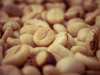 green coffee beans macro with filter effect retro vintage style