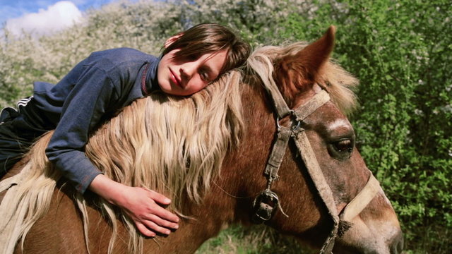 The boy takes care of his pet, a favorite horse.