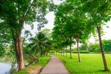 Green lawn in city park and pathway