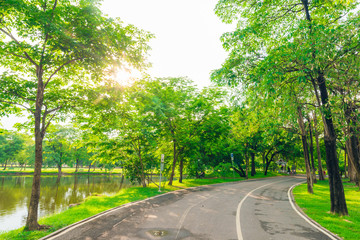 Green lawn in city park and pathway