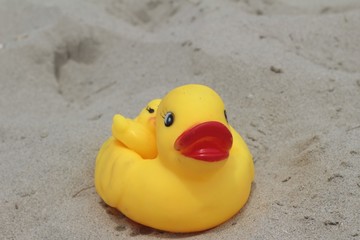 Fototapeta na wymiar Lovely of yellow rubber duck on the sand.