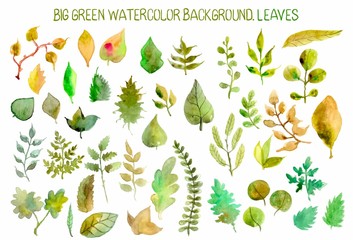 Watercolor leaves collection