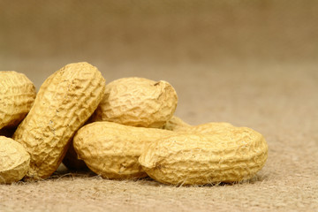 Peanut Closeup