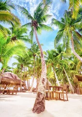 Photo sur Plexiglas Vert-citron Belle plage tropicale