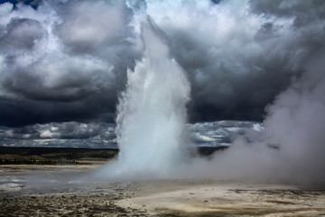 Morning Geyser