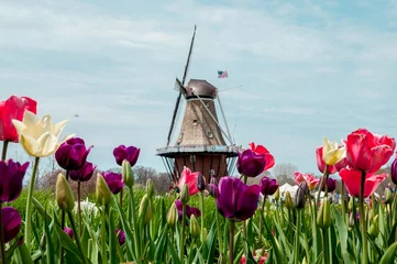 Fotobehang Holland MI Windmill  © stevenkorn