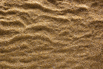 Rough surface of the sand