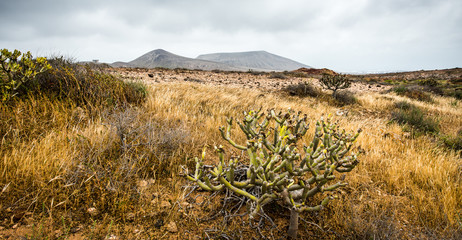 mountain landscape