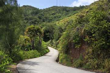 Scenic road on Mount Zimbvabve.