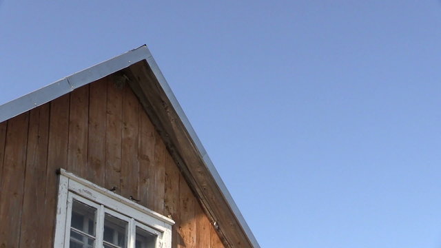 Martin martlet birds fly and live under house roof corner
