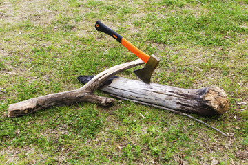Ax stuck in the tree trunk