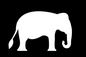 elephants silhouettes