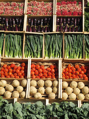 paris champs-élysées
