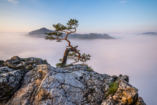 Fototapeta Sokolica Peak in Pieniny, Poland