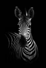 Zelfklevend Fotobehang Zebra in zwart-wit © donvanstaden