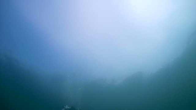 Diver with the metal detector searching  