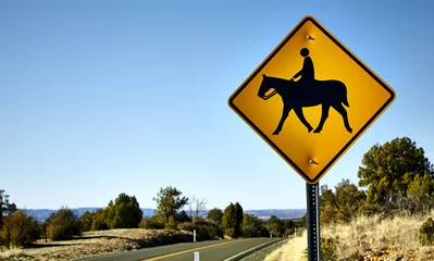 Peel and stick wall murals Horse riding Horse and Rider Crossing road sign on side of highway 