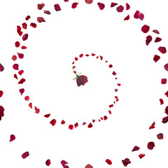 Rose Petal Spiral