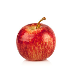 Red apple on white background