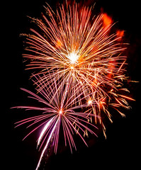 Obraz premium Colorful fireworks on the black sky