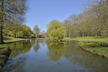 Fototapeta na wymiar L'un des étangs du parc du Dirigeable à Bruxelles