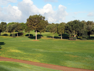 Fototapeta na wymiar Sunny morning on a golf course, green grass and blue sky