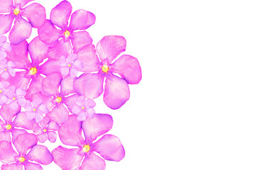 Fototapeta na wymiar Background of pink flowers