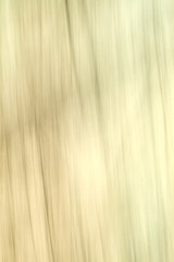 blurred motion in nature gives a harmonic background