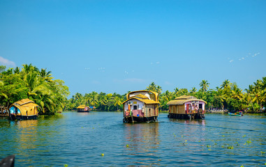 Houseboats in the backwaters of Kerala, India - obrazy, fototapety, plakaty