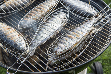Forellen grillen mit Fischzangen