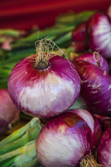 Red onion of Tropea