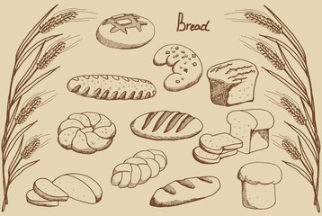 Bread