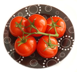 frische Tomaten