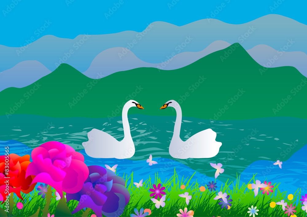 Wall mural Vector illustration. Two swans in the lake.