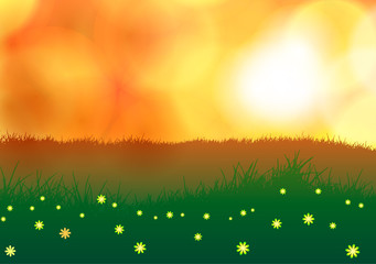 Vector illustration. Field with flowers at sunset.