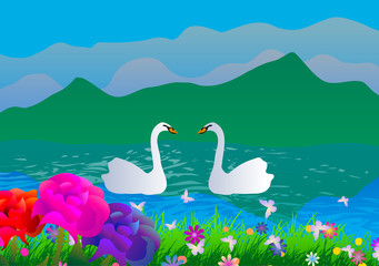 Fototapeta premium Vector illustration. Two swans in the lake.