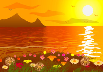 Obraz na płótnie Canvas Flower field on the ocean at sunset.