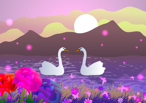 Vector illustration. Two swans in the lake.